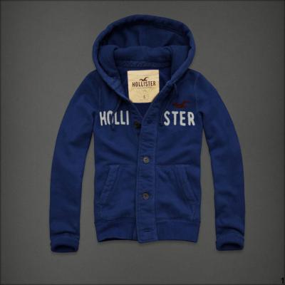 Hollister Men Hoodies-94